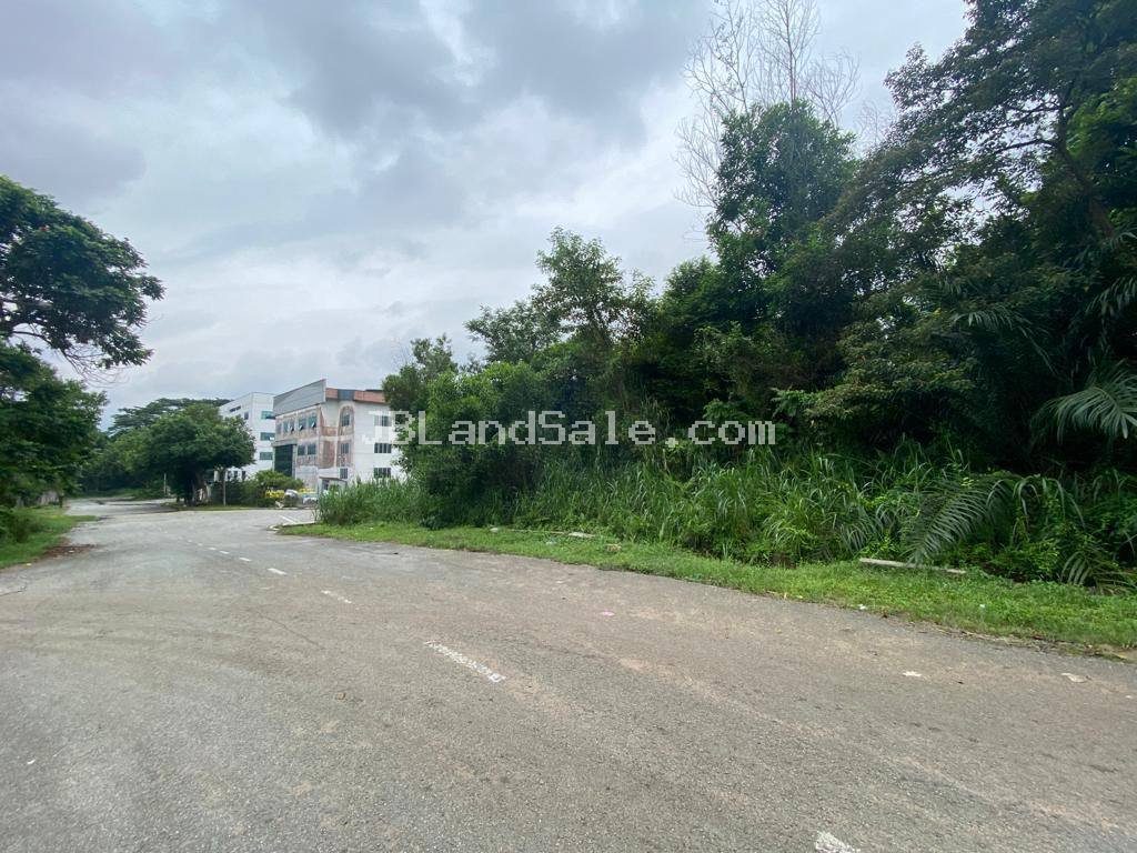 Tampoi Industrial Zoning Land for Sale — Jalan Riang, Taman Gembira, 39,420 Sqft